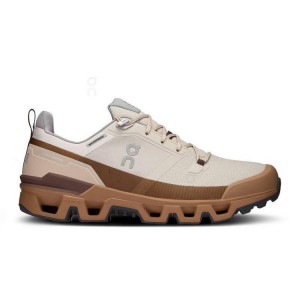 Brown Men On Cloudwander Waterproof Hiking Shoes | ZA_ON9098