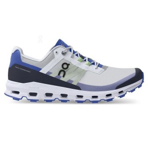 Grey / Royal Men On Cloudvista Trail Running Shoes | ZA_ON8324