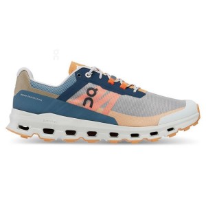 Multicolor Men On Cloudvista Trail Running Shoes | ZA_ON8922